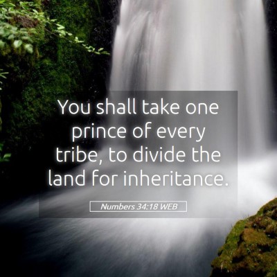 Picture 05 - Numbers 34:18 WEB - You shall take one prince of every tribe, to - Bible Verse Picture