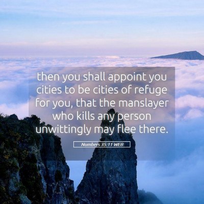 Picture 05 - Numbers 35:11 WEB - then you shall appoint you cities to be cities of - Bible Verse Picture