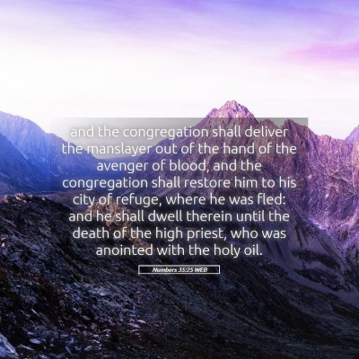 Picture 05 - Numbers 35:25 WEB - and the congregation shall deliver the manslayer - Bible Verse Picture