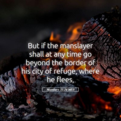 Picture 05 - Numbers 35:26 WEB - But if the manslayer shall at any time go beyond - Bible Verse Picture