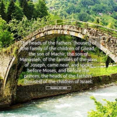 Picture 05 - Numbers 36:1 WEB - The heads of the fathers' [houses] of the family - Bible Verse Picture