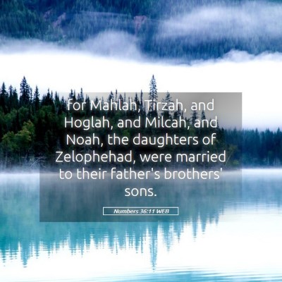 Picture 05 - Numbers 36:11 WEB - for Mahlah, Tirzah, and Hoglah, and Milcah, and - Bible Verse Picture