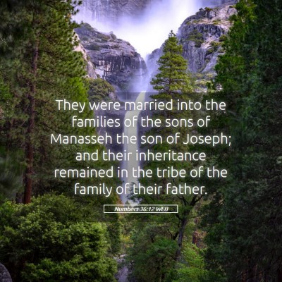 Picture 05 - Numbers 36:12 WEB - They were married into the families of the sons - Bible Verse Picture