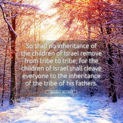 Picture 05 - Numbers 36:7 WEB - So shall no inheritance of the children of Israel - Bible Verse Picture