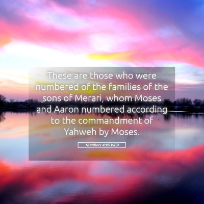 Picture 05 - Numbers 4:45 WEB - These are those who were numbered of the families - Bible Verse Picture
