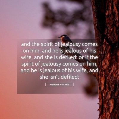 Picture 05 - Numbers 5:14 WEB - and the spirit of jealousy comes on him, and he - Bible Verse Picture