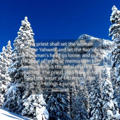 Picture 05 - Numbers 5:18 WEB - The priest shall set the woman before Yahweh, and - Bible Verse Picture
