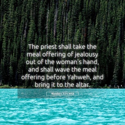 Picture 05 - Numbers 5:25 WEB - The priest shall take the meal offering of - Bible Verse Picture
