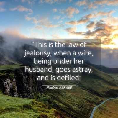 Picture 05 - Numbers 5:29 WEB - 