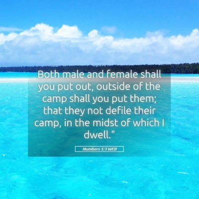 Picture 05 - Numbers 5:3 WEB - Both male and female shall you put out, outside - Bible Verse Picture