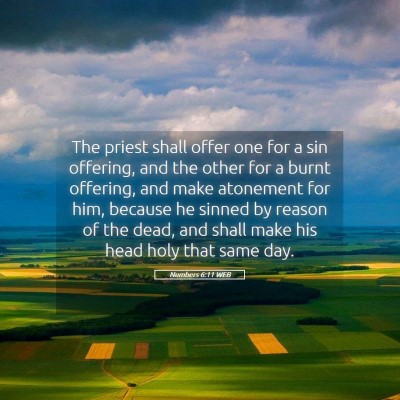 Picture 05 - Numbers 6:11 WEB - The priest shall offer one for a sin offering, - Bible Verse Picture