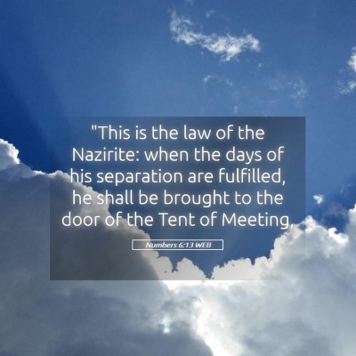 Picture 05 - Numbers 6:13 WEB - 