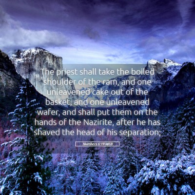 Picture 05 - Numbers 6:19 WEB - The priest shall take the boiled shoulder of the - Bible Verse Picture