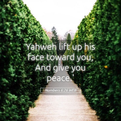 Picture 05 - Numbers 6:26 WEB - Yahweh lift up his face toward you, And give you - Bible Verse Picture