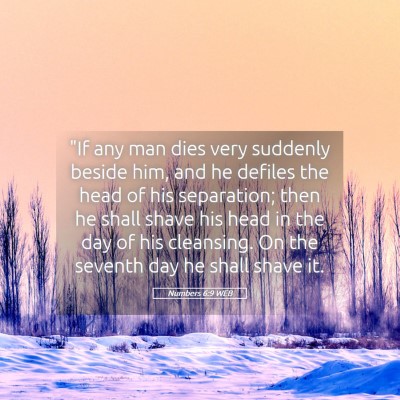 Picture 05 - Numbers 6:9 WEB - 