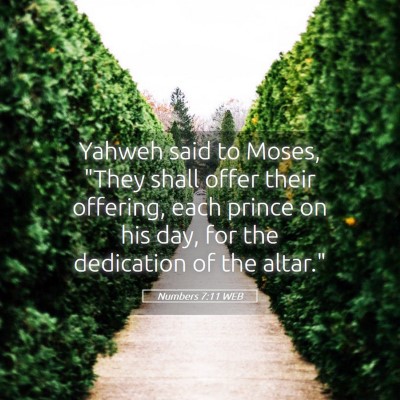 Picture 05 - Numbers 7:11 WEB - Yahweh said to Moses, 