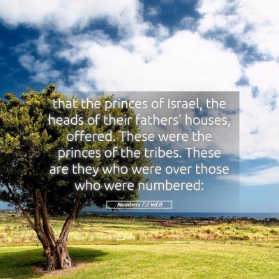 Picture 05 - Numbers 7:2 WEB - that the princes of Israel, the heads of their - Bible Verse Picture