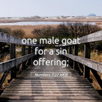 Picture 05 - Numbers 7:22 WEB - one male goat for a sin - Bible Verse Picture