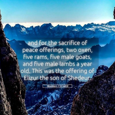 Picture 05 - Numbers 7:35 WEB - and for the sacrifice of peace offerings, two - Bible Verse Picture