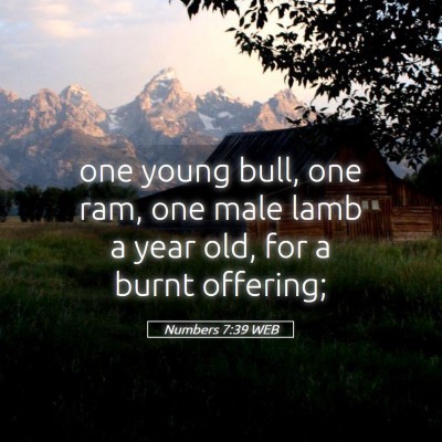 Picture 05 - Numbers 7:39 WEB - one young bull, one ram, one male lamb a year - Bible Verse Picture