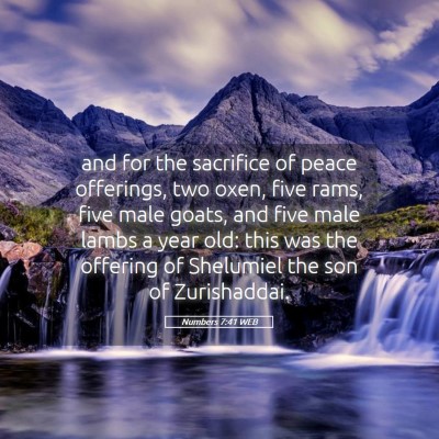 Picture 05 - Numbers 7:41 WEB - and for the sacrifice of peace offerings, two - Bible Verse Picture