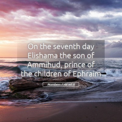 Picture 05 - Numbers 7:48 WEB - On the seventh day Elishama the son of Ammihud, - Bible Verse Picture
