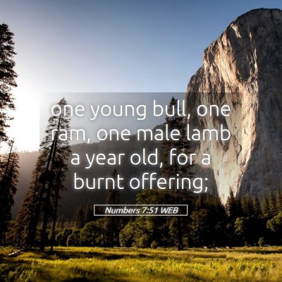 Picture 05 - Numbers 7:51 WEB - one young bull, one ram, one male lamb a year - Bible Verse Picture