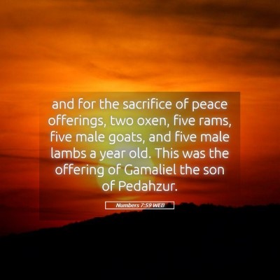 Picture 05 - Numbers 7:59 WEB - and for the sacrifice of peace offerings, two - Bible Verse Picture