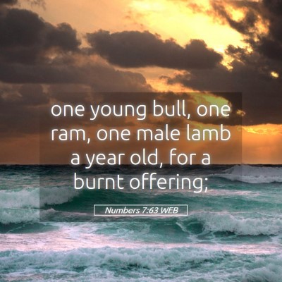 Picture 05 - Numbers 7:63 WEB - one young bull, one ram, one male lamb a year - Bible Verse Picture