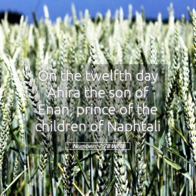 Picture 05 - Numbers 7:78 WEB - On the twelfth day Ahira the son of Enan, prince - Bible Verse Picture