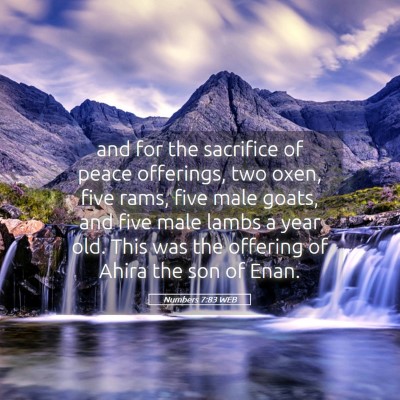 Picture 05 - Numbers 7:83 WEB - and for the sacrifice of peace offerings, two - Bible Verse Picture
