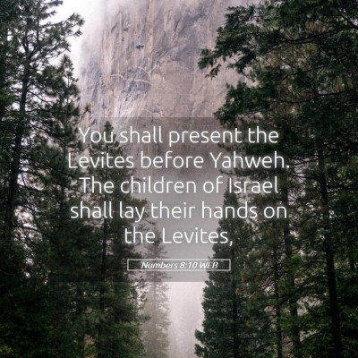 Picture 05 - Numbers 8:10 WEB - You shall present the Levites before Yahweh. The - Bible Verse Picture