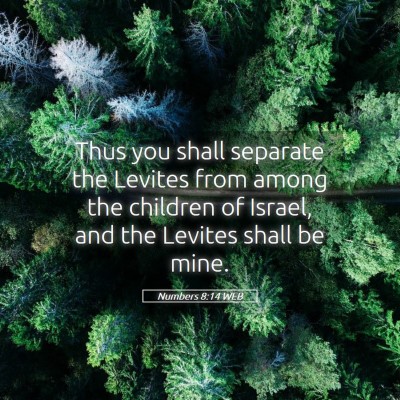Picture 05 - Numbers 8:14 WEB - Thus you shall separate the Levites from among - Bible Verse Picture