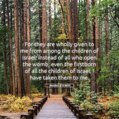 Picture 05 - Numbers 8:16 WEB - For they are wholly given to me from among the - Bible Verse Picture
