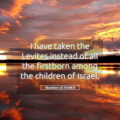 Picture 05 - Numbers 8:18 WEB - I have taken the Levites instead of all the - Bible Verse Picture
