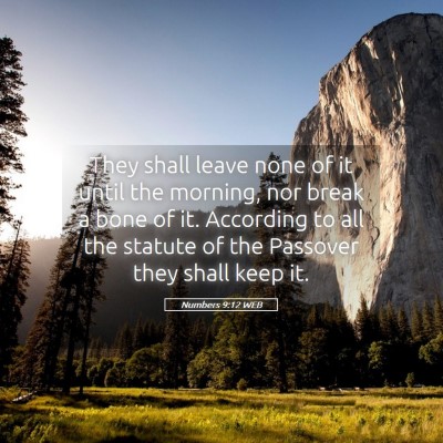 Picture 05 - Numbers 9:12 WEB - They shall leave none of it until the morning, - Bible Verse Picture
