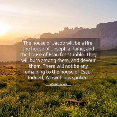 Picture 05 - Obadiah 1:18 WEB - The house of Jacob will be a fire, the house of - Bible Verse Picture