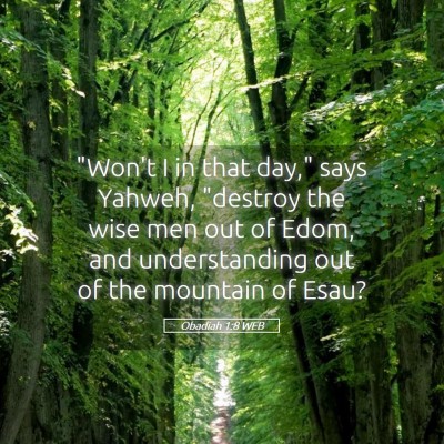 Picture 05 - Obadiah 1:8 WEB - 