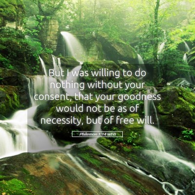Picture 05 - Philemon 1:14 WEB - But I was willing to do nothing without your - Bible Verse Picture