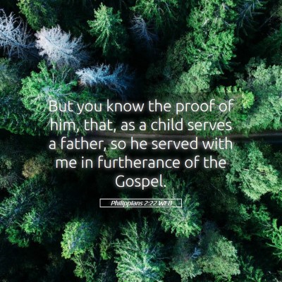 Picture 05 - Philippians 2:22 WEB - But you know the proof of him, that, as a child - Bible Verse Picture