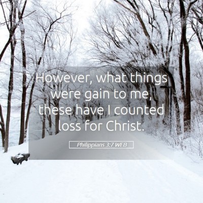 Picture 05 - Philippians 3:7 WEB - However, what things were gain to me, these have - Bible Verse Picture