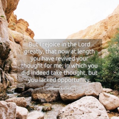 Picture 05 - Philippians 4:10 WEB - But I rejoice in the Lord greatly, that now at - Bible Verse Picture