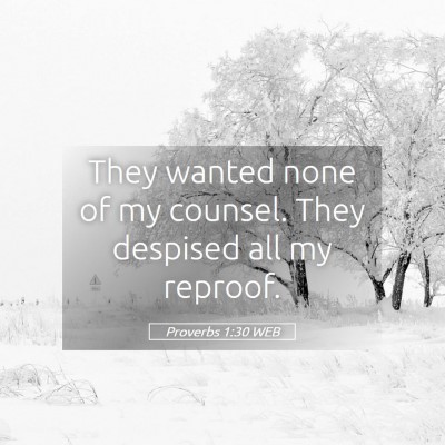 Picture 05 - Proverbs 1:30 WEB - They wanted none of my counsel. They despised all - Bible Verse Picture