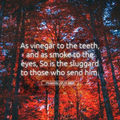 Picture 05 - Proverbs 10:26 WEB - As vinegar to the teeth, and as smoke to the - Bible Verse Picture