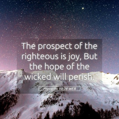Picture 05 - Proverbs 10:28 WEB - The prospect of the righteous is joy, But the - Bible Verse Picture