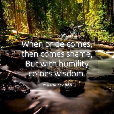 Picture 05 - Proverbs 11:2 WEB - When pride comes, then comes shame, But with - Bible Verse Picture