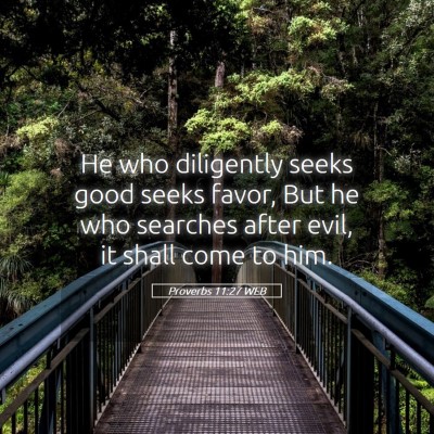 Picture 05 - Proverbs 11:27 WEB - He who diligently seeks good seeks favor, But he - Bible Verse Picture