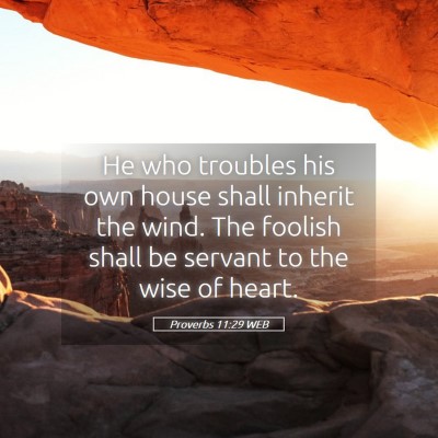 Picture 05 - Proverbs 11:29 WEB - He who troubles his own house shall inherit the - Bible Verse Picture