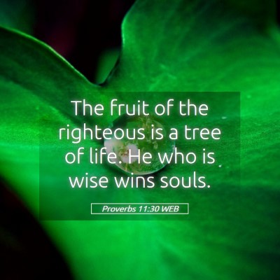 Picture 05 - Proverbs 11:30 WEB - The fruit of the righteous is a tree of life. He - Bible Verse Picture