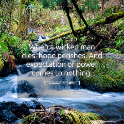 Picture 05 - Proverbs 11:7 WEB - When a wicked man dies, hope perishes, And - Bible Verse Picture